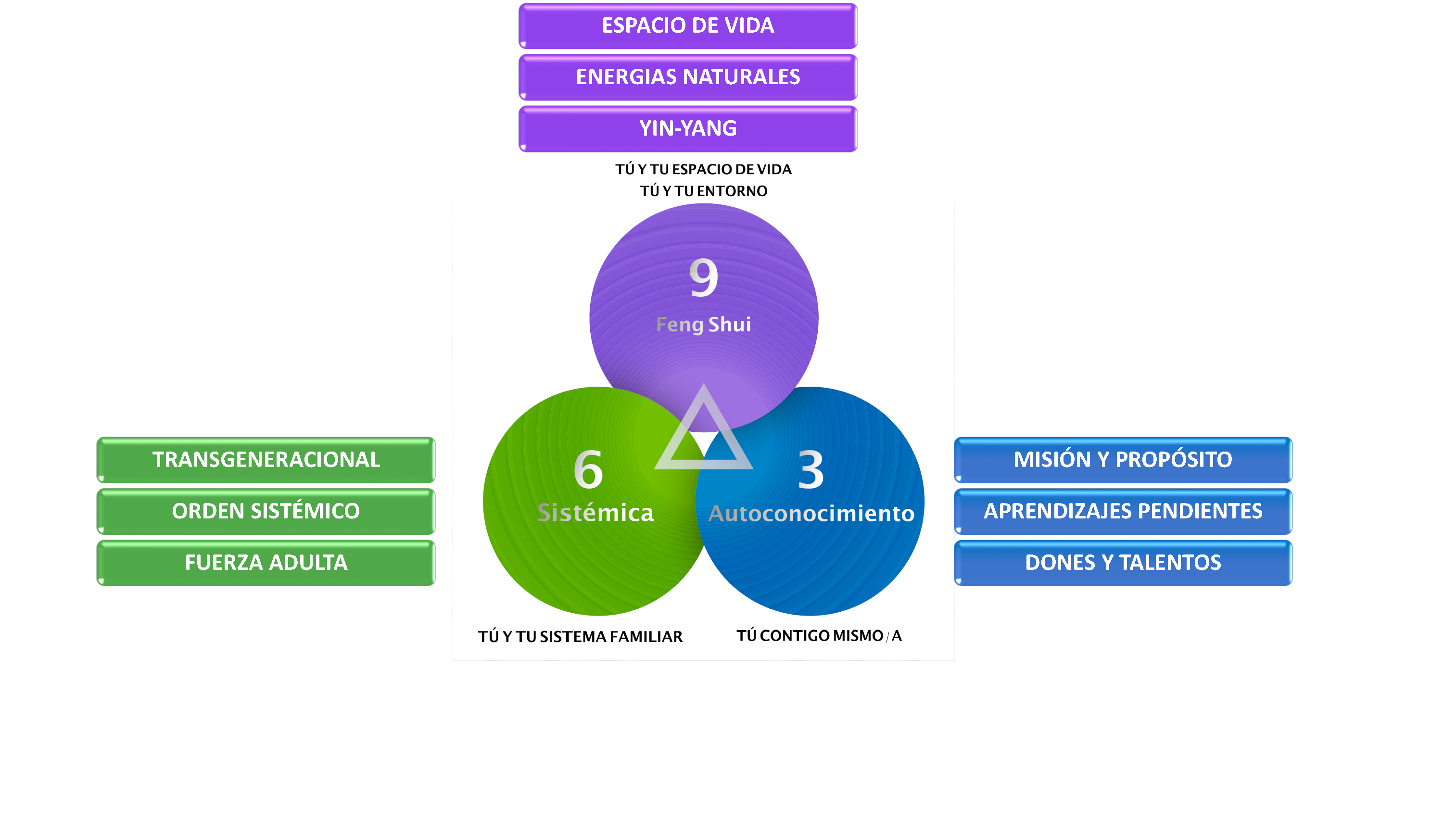 Mentoria 3-6-9 Personal Resumen