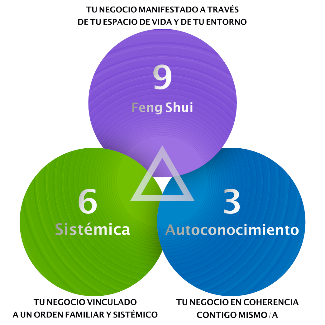 Mentoria 3-6-9 Proyectos